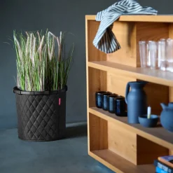 homebasket M